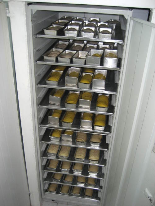 pes crescendo modeladosnas forminhas